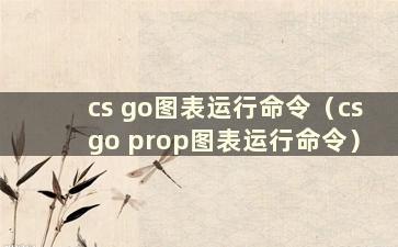 cs go图表运行命令（csgo prop图表运行命令）